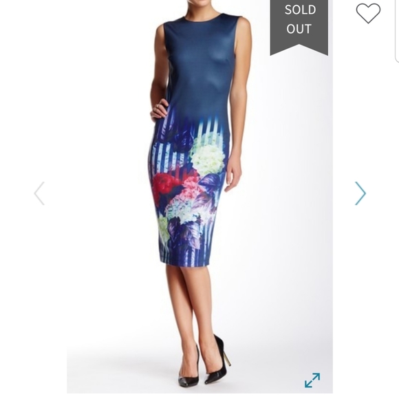 London Dress Company "Brooke" dress - Picture 8 of 8